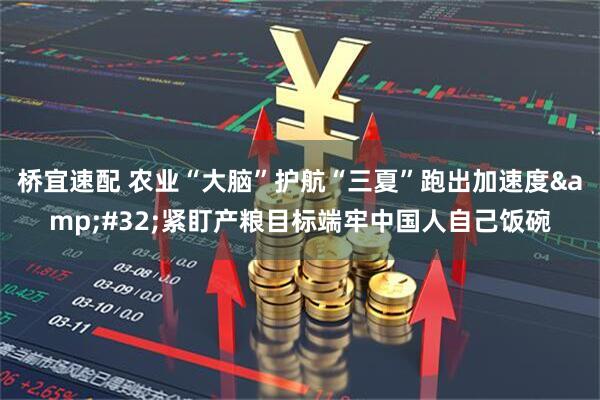 桥宜速配 农业“大脑”护航“三夏”跑出加速度&#32;紧盯产粮目标端牢中国人自己饭碗