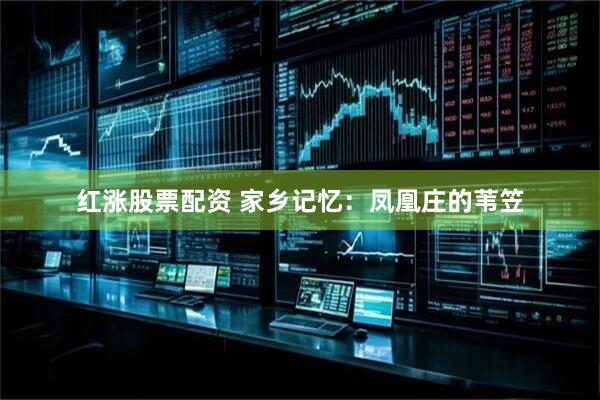 红涨股票配资 家乡记忆：凤凰庄的苇笠