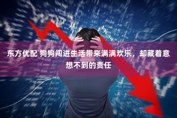 东方优配 狗狗闯进生活带来满满欢乐，却藏着意想不到的责任