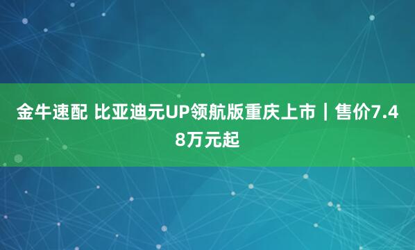金牛速配 比亚迪元UP领航版重庆上市｜售价7.48万元起
