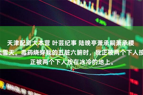天津配资大本营 叶芸纪事 陆晚亭萧承嗣萧承稷 我死在了一个大雪天。毒药烧穿我的五脏六腑时，我正被两个下人按在冰冷的地上。